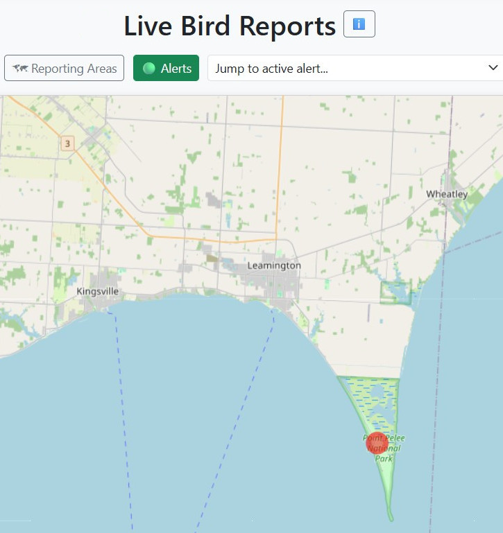 Live map