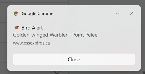Browser bird alert